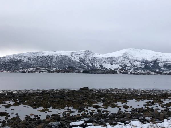 10_Borgundfjordfisket_bilde1